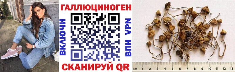 Псилоцибиновые грибы MAGIC MUSHROOMS  как найти   Старая Русса 